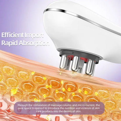 Skin Rejuvenation and Contouring System
